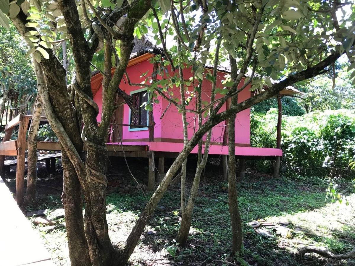 Gibbon Lodge Сенмонором Экстерьер фото